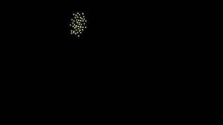 Flocking Boids