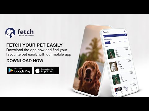Fetch Local Petfinder app - V3 Seller Dashboard to BUY/SELL or ADOPT Pets near you. DOG & Cat Videos