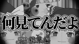 【スプラトゥーン３】え、非公開動画の総集編におまけも付けてくれたの？！【ゆっくり実況】#26（総集編）