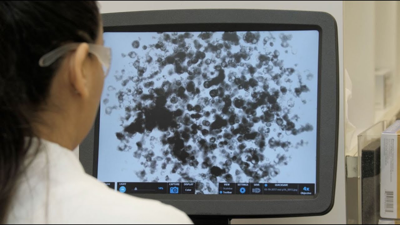 Microphysiological Systems (MPS) in Toxicology