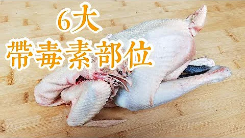 鸡身上有6个部位毒素最重，不能随便吃，25年大厨告诉我，很受用 - 天天要闻