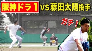【阪神ドラ１】藤田太陽投手がガチンコ豪速球！NPB通算12年のレベル！