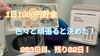 1日1,000円貯金283日目283,000円目!決めた!来年はこうしたい!!!#貯金 #両替