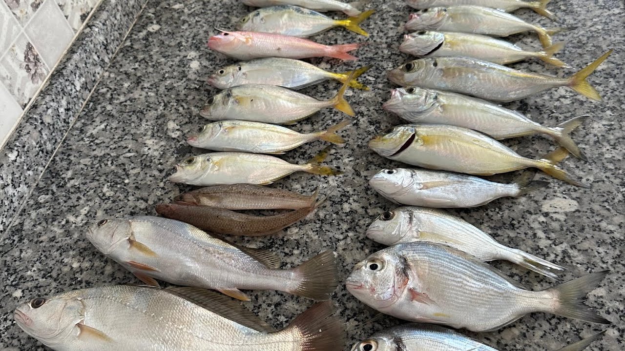 Adana Yumurtalık Tekne İle Gece Balık Avı/6-7 Eylül 2024