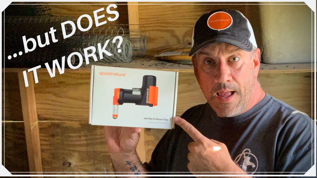 They built a BETTER MOUSETRAP