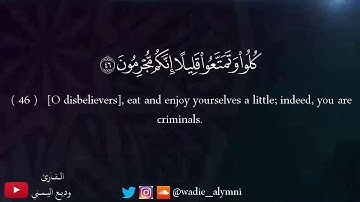 تلاوة مريحة للنفس - للقارئ وديع اليمني - هذا يوم الفصل جمعناكم والأولين