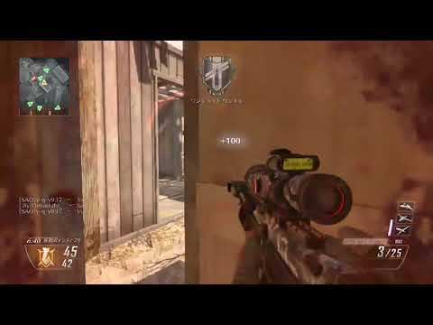 コッキングでサイレントショット｜【CoDBO2】SRプレイ[10]：TDM