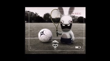 Rabbids Crit #edit #viralvideo #rabbids #rabbit #rabbidsinvasion