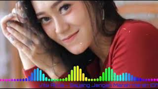 Dj santuy || Sayang jangan marah marah - Vita alvia