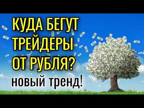 Трейдеры убегают от рубля! Куда? Какие валюты начнут активно расти? Курс доллара на сегодня.