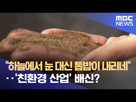   하늘에서 눈 대신 톱밥이 내리네 친환경 산업 배신 2023 03 20 뉴스데스크 MBC