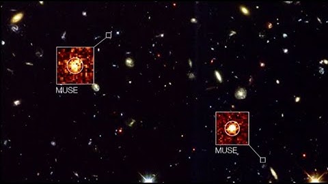 MUSE Observations | Looking Deeply into The Universe in 3D