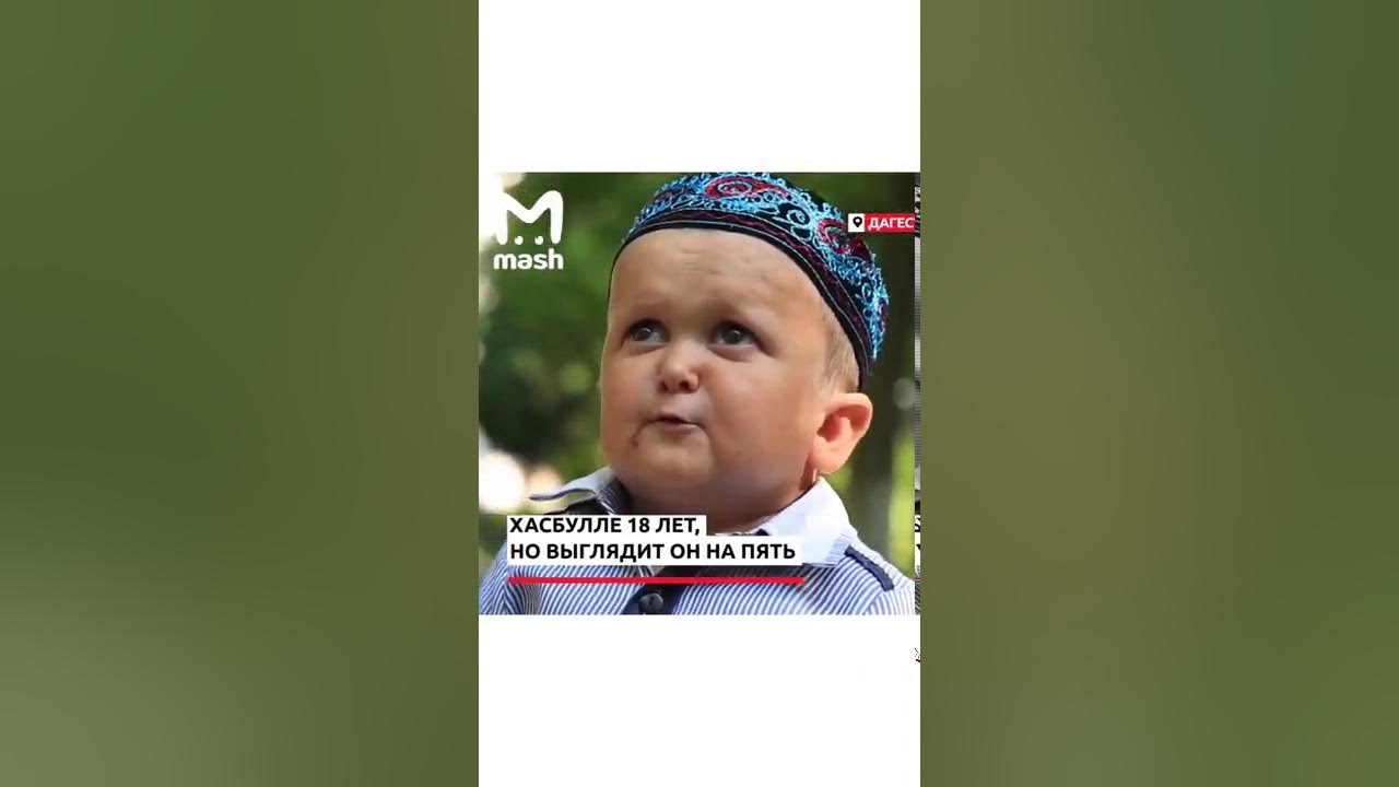 сколько лет хасбику почему он маленький