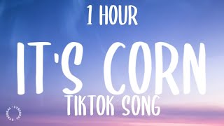 it's corn (TikTok Song) (1HOUR/Lyrics) "it's corn, a big lump of knobs"