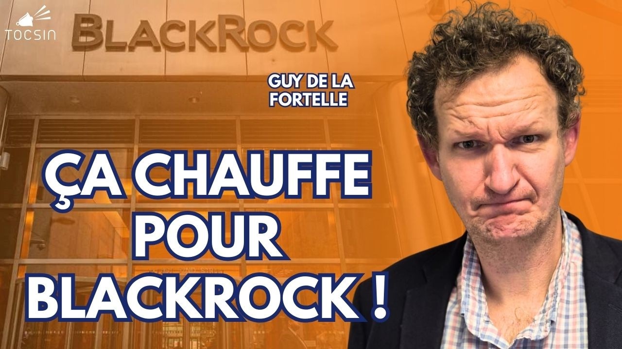 BlackRock va-t-il ENCORE demander à la Fed de les sauver ? - Guy de la  Fortelle sonne le tocsin !