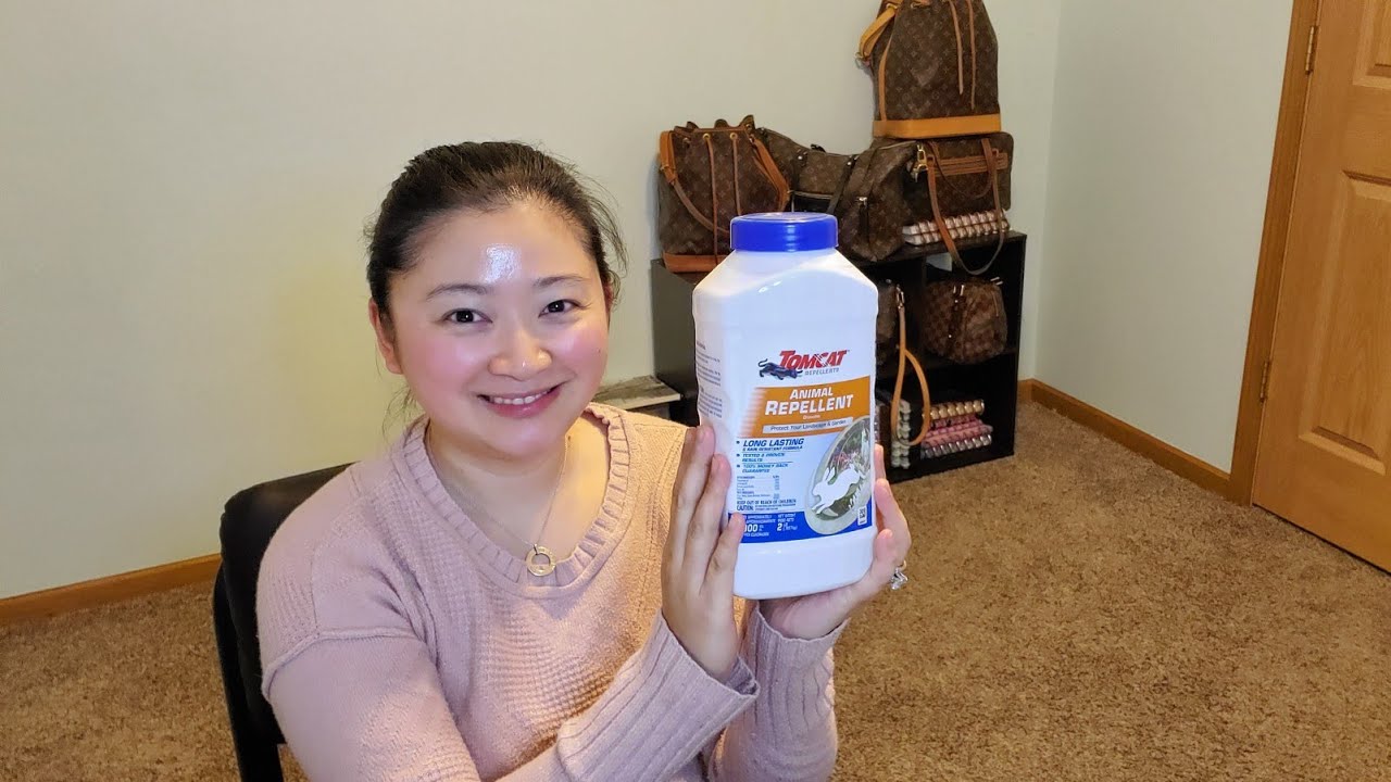 Tomcat Animal Repellent Review Youtube Tomcat Animal Repellent Review Youtube