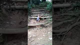 Dedi Setiawan