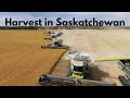 Harvest in Saskatchewan | 2020 (4K)