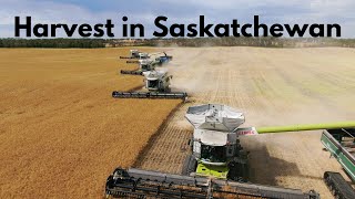 Harvest in Saskatchewan | 2020 (4K)