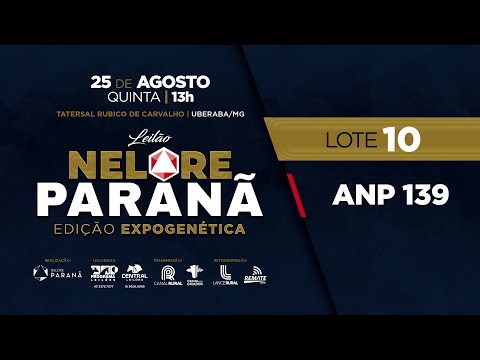 LOTE 10 ANP 139