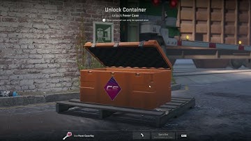 Counter Strike 2 Skeleton Knife Doppler P2 on the first case!