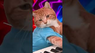 Chipi Chipi Chapa Chapa Christell - Dubidubidu Riran Remix