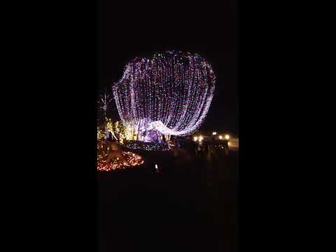 Holiday Lights! - YouTube