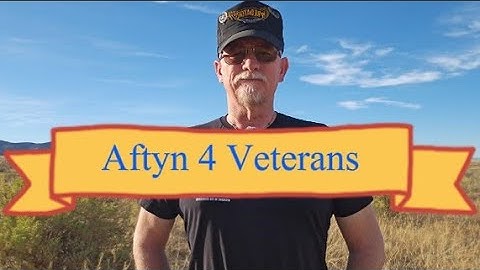 Veterans Day 2025 #veterans #resistance #constitution #TN-7 #specialelection