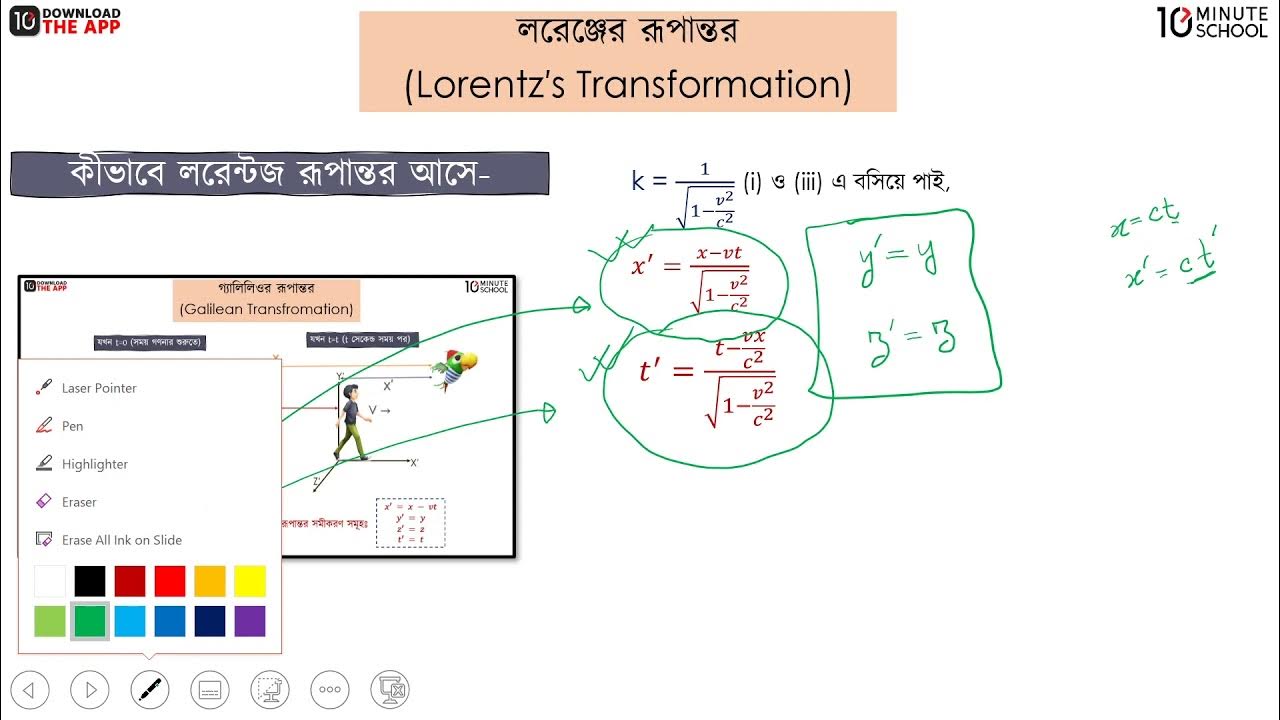 Tukli mushuk ustidagi sikning fotosurati