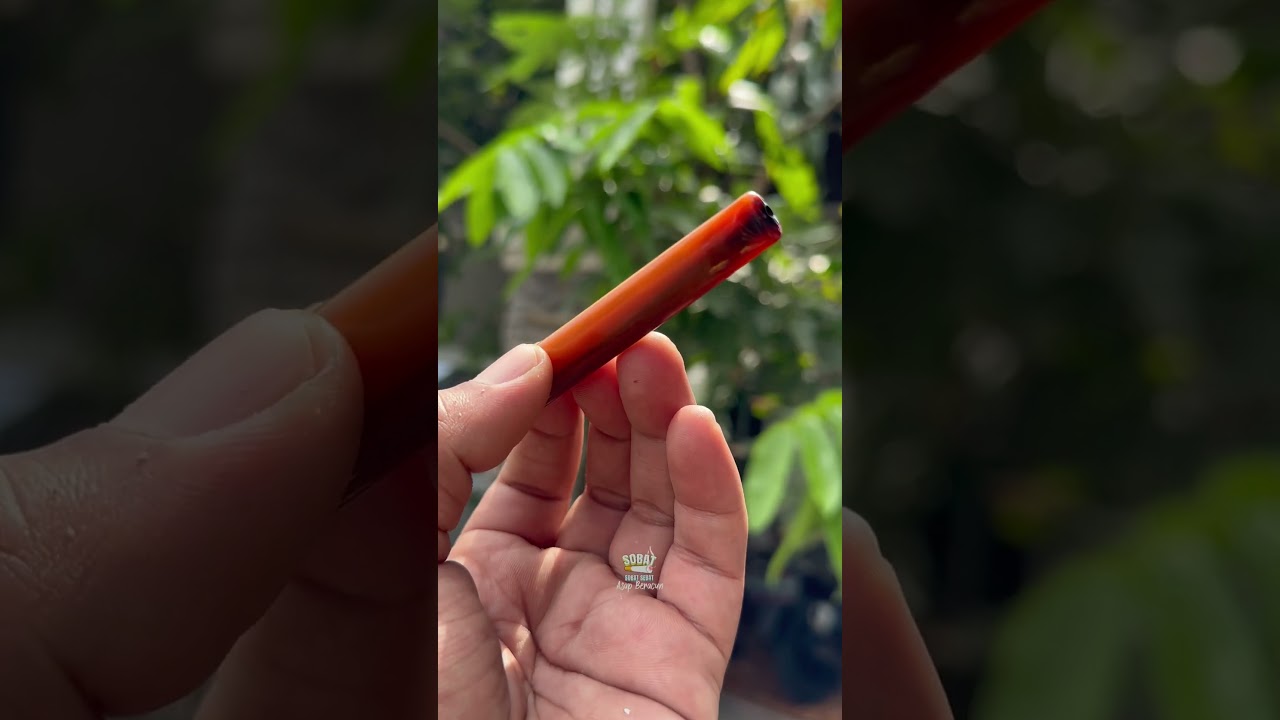 Pipa GG super lawas , pemakaian 5 tahun. Pulen banget 👍