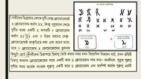 EUGSC(6.9.2021):Class:x,Sub:Biology(Lec:29),Chap:12(Part-4),Shayla parvin.