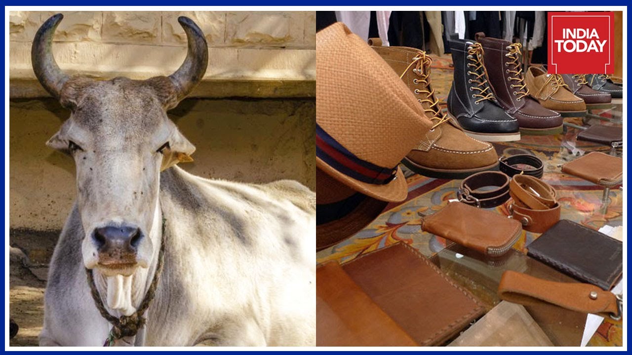 Ban On Cattle Slaughter Causes Worry For Leather Industry YouTube