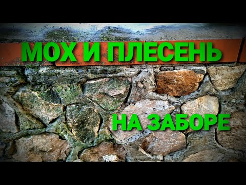 МОХ и ПЛЕСЕНЬ НА ЗАБОРЕ ИЗ КАМНЯ. КАК БОРОТЬСЯ?!УСТРОНЯЕМ!(часть 1)