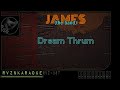 JAMES The Band Dream Thrum Karaoke mp3