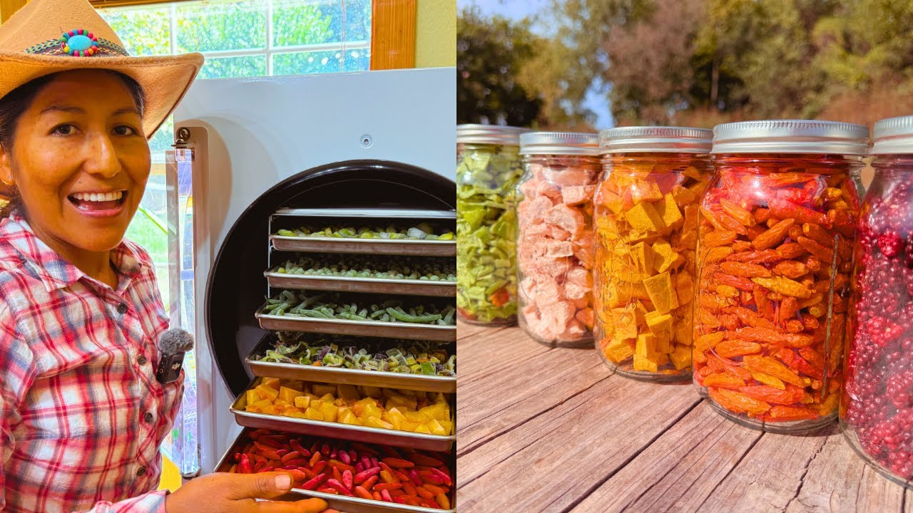 LIOFILIZADOR de ALIMENTOS-Harvest Right Freeze Dryer🥕🥦🇺🇸🇵🇪