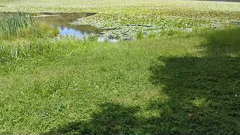 Looking for fishing spots in Boone NC