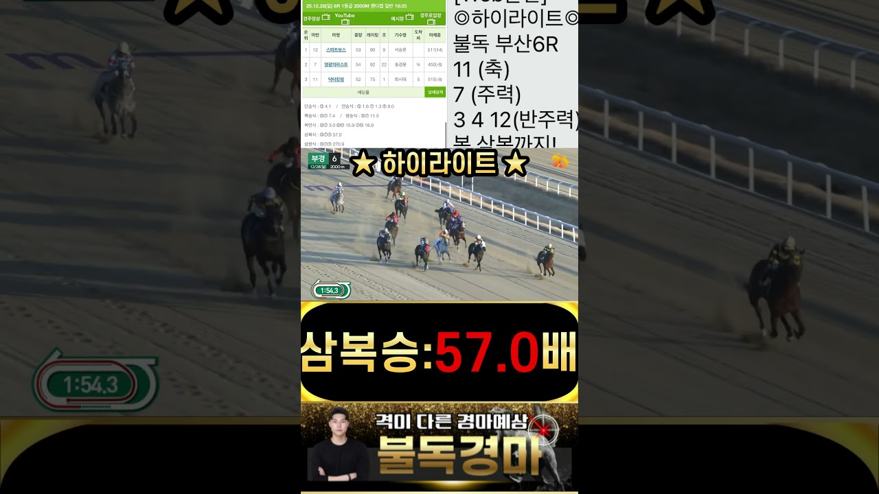 불독의 부산 하이라이트 승부! 단승30배 연승8배 모두 숫자에 불과합니다 경마는 복병귀신 불독!