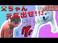 アキラと共に！ 　永吉愛 「トビラ」