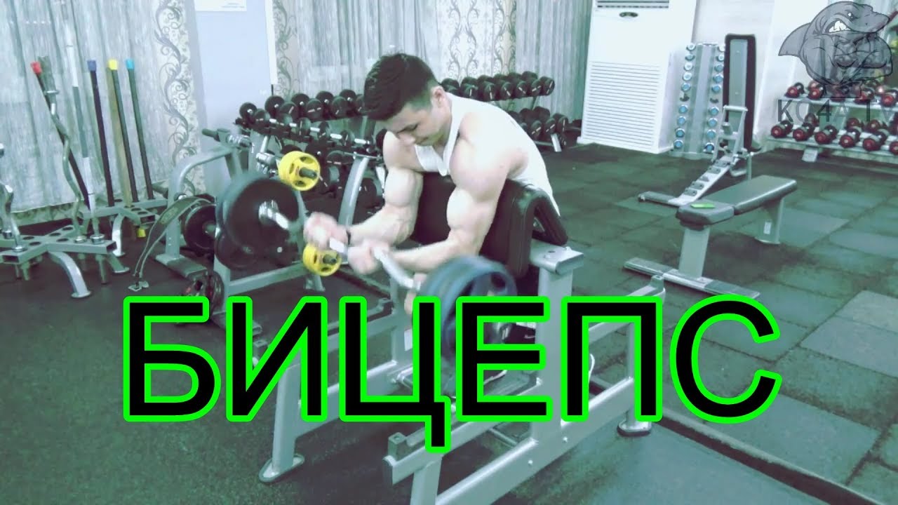 Самые лучшие упражнения на бицепс от КО4И/КОЧА