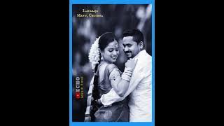 Pandiyanin Rajiyathil - 💞 - Ilayaraja - Mano - Chithra - Echo Effects MP3 #echomusiczone