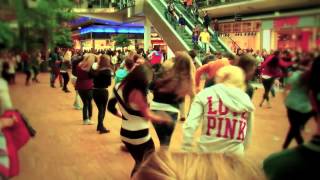 Flashmob Donauzentrum 2012.mov
