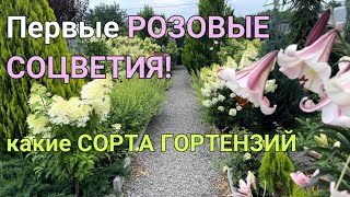 :      |   |     