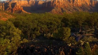 La Vita Sul Nostro Pianeta 2023 - Dakotaraptor Screen Time Ita