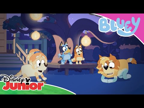 فيديو: أي حلقة من bluey هي لعبة البنغو؟