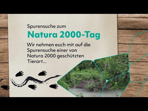 Auf den Spuren