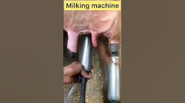 Milking machine l Dr umar khan