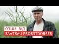 Чому виробники Півдня України обирають селекцію SAATBAU PROBSTDORFER