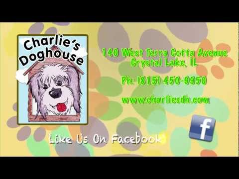 charlie's dog house crystal lake