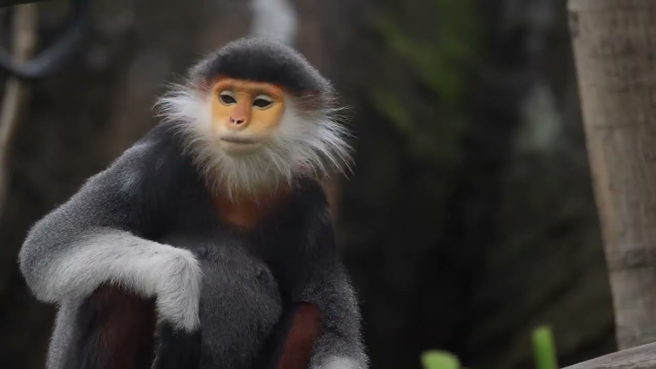 Beautiful Insects lover With Nature❤😍