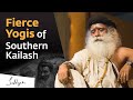 The fierce yogis of southern kailash  sadhguru